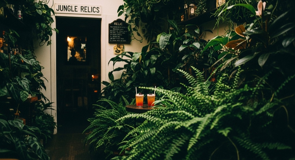Relic Speakeasy