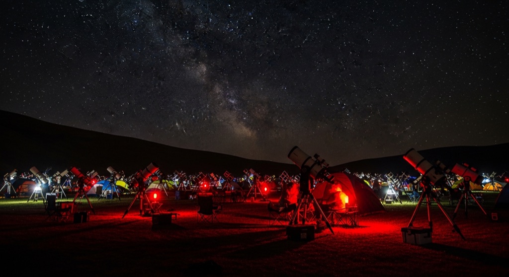 Rocky Mountain Star Stare (Starry Meadows)
