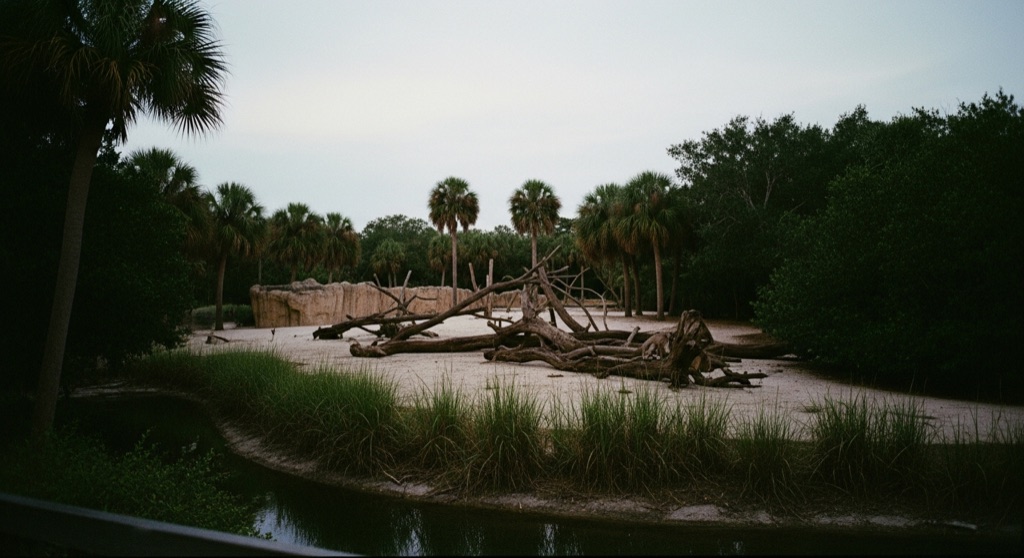 Wild Night: Night Tour — Zoo Miami
