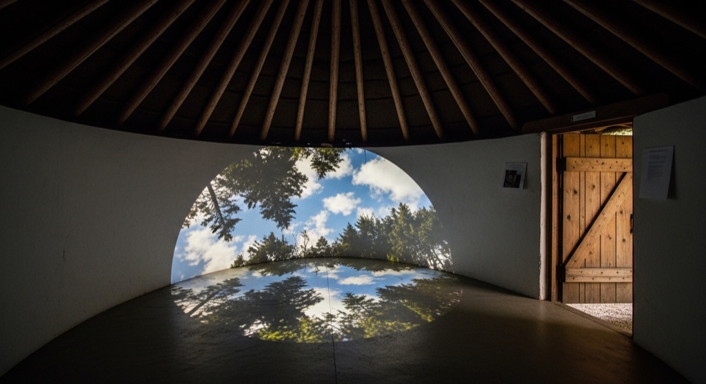 Cloud Chamber for the Trees and Sky