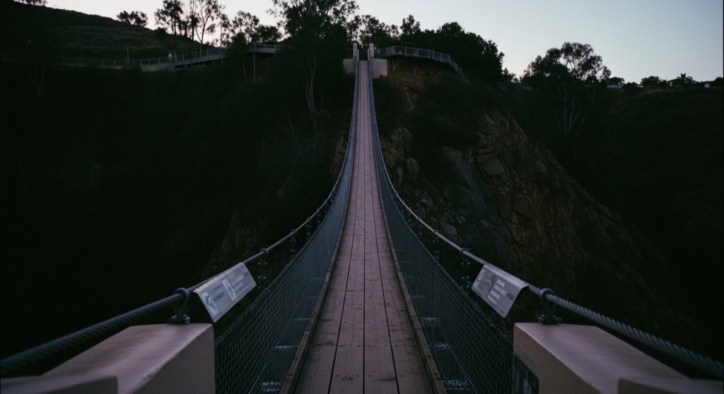 Spruce Street Suspension Bridge