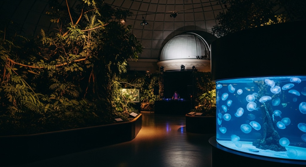 NightLife at the California Academy of Sciences