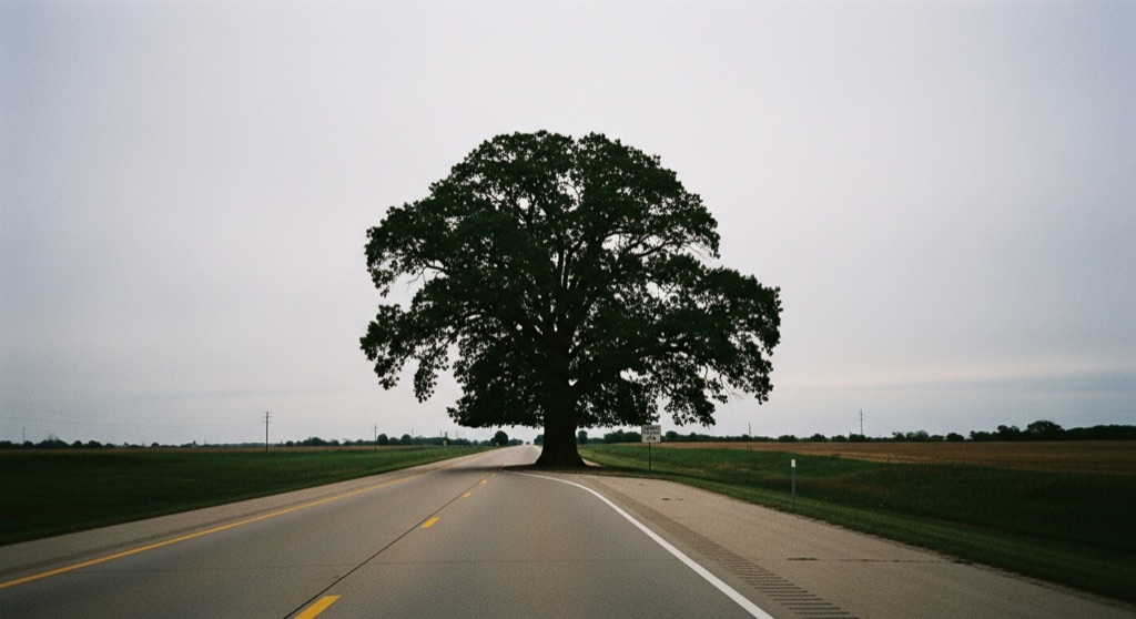The Lucky Tree (Honking Tree)